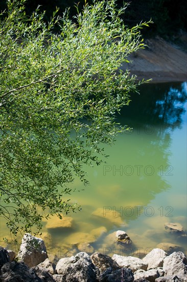 Background of green water texture in the pond