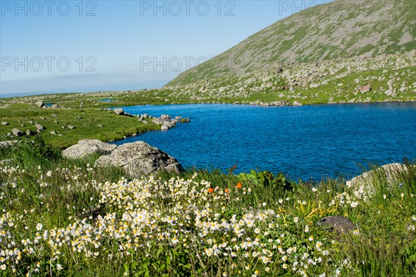 Highland lake in green natural background in Artvin province of Turkey