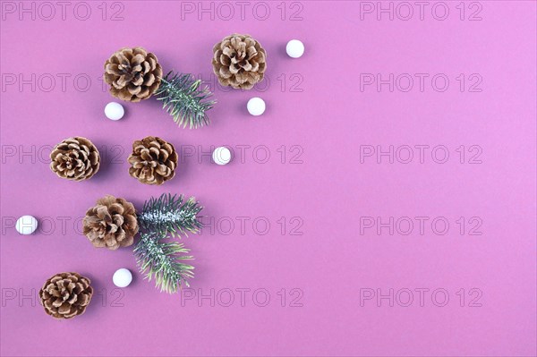 Seasonal autumn or winter flat lay with fir cones