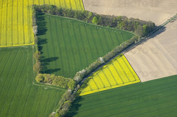 Aerial view of agricultural landscape in spring