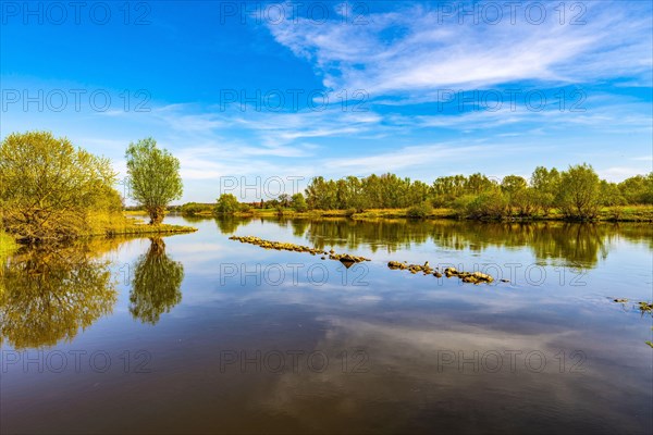 The river Weser near the Weserauen nature reserve