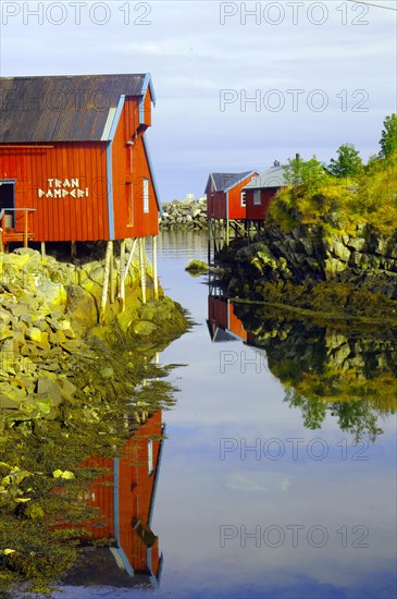 Red wooden houses on stilts reflected in the water of a fjord