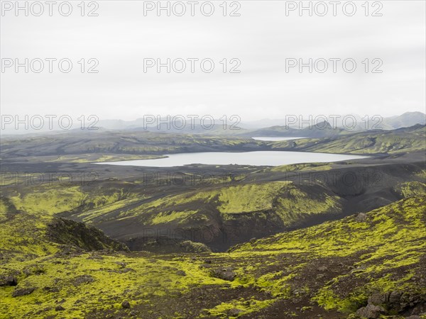 Moss-covered volcanic landscape