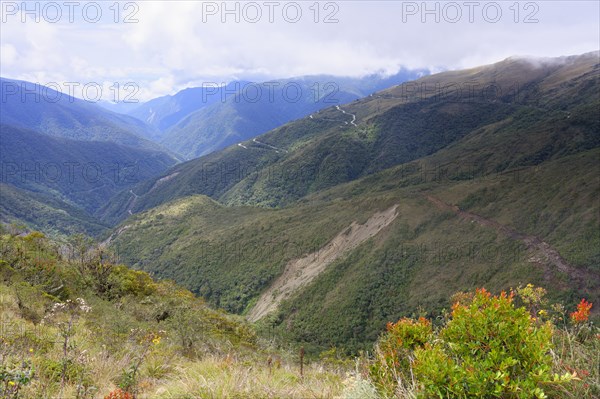 Tropical Cloud Forest landscape