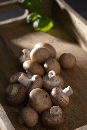 Fresh common mushrooms