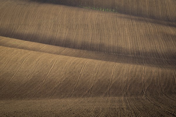 Beautiful harsh landscape of plowed Moravian fields in the autumn season. Czech republic