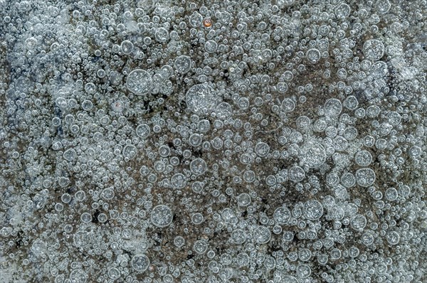 Air bubbles trapped in ice formed on a river during an icy winter. Alsace