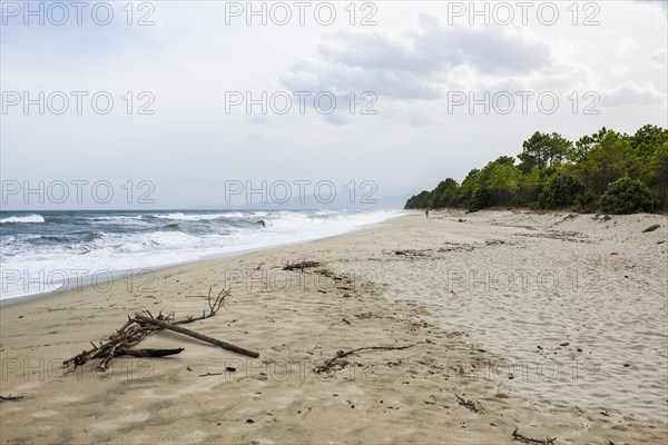 Lonely wild beach
