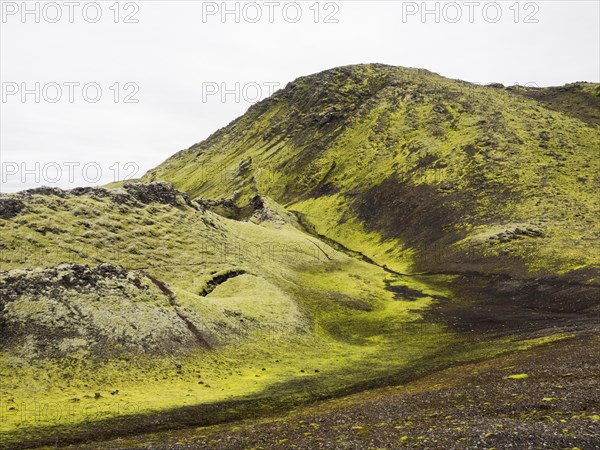 Moss-covered volcanic landscape