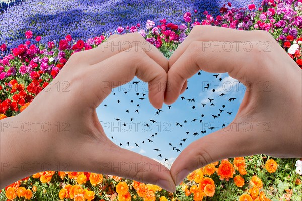 Flock of birds are seen behind a heart shaped hand