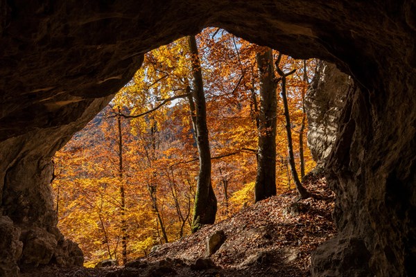 Rock cave