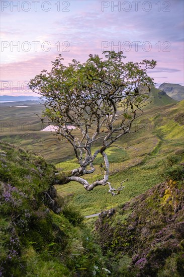 View of rocky landscape Quiraing at sunrise