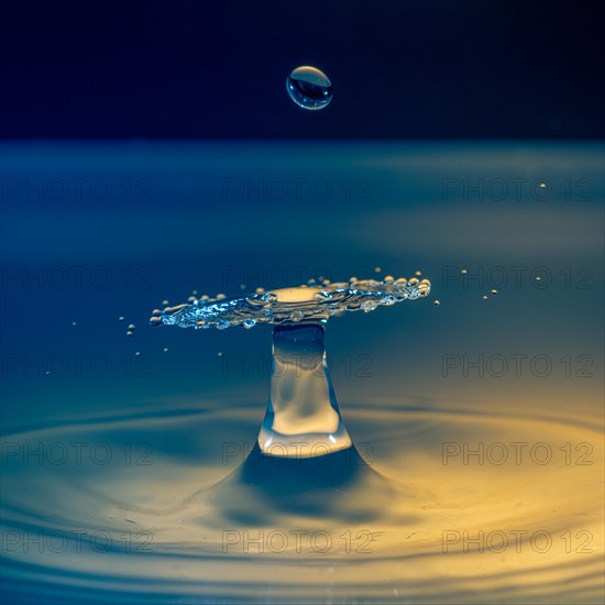 Macro Photography Water Drops