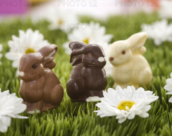 Easter three chocolate bunnies in the grass with flowers