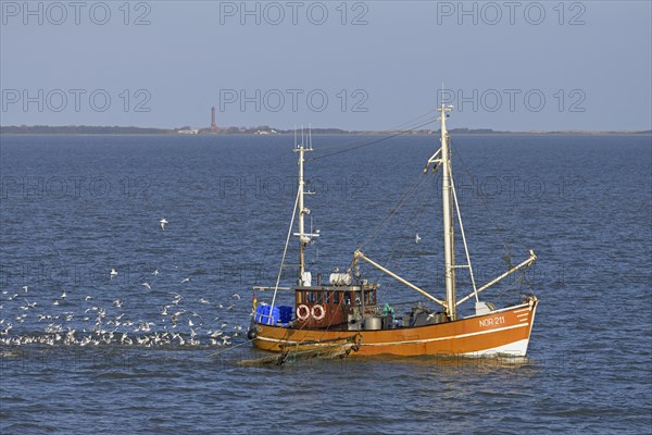 Crab cutter on fishing trip off Norderney