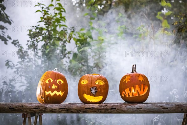 Artfully carved pumpkins for Halloween