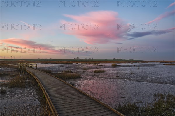 Sunrise in the Langwarder Groden Nature Reserve