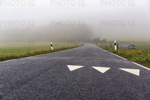 White triangles on roadway