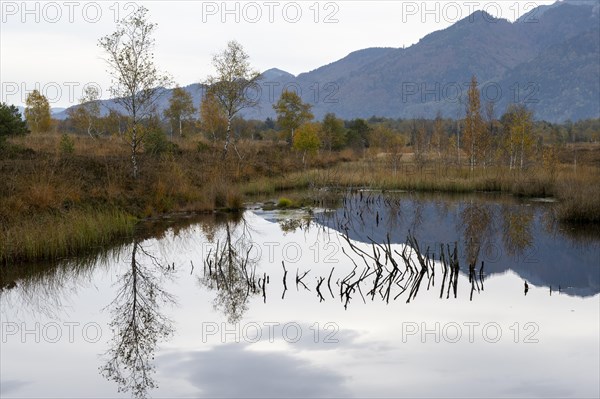 Autumn in the Kendlmuehlfilzen high moor