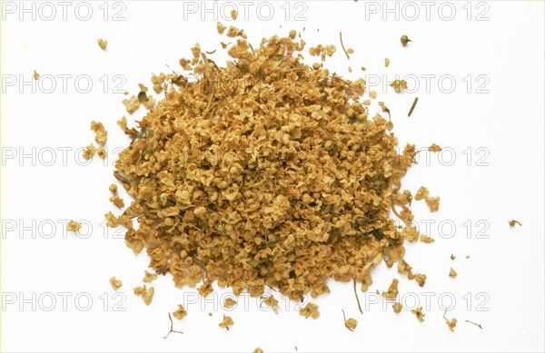 Natural remedy dried elderflowers nigra