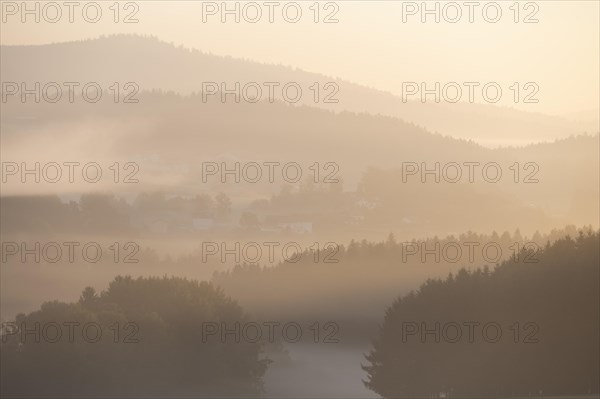 Forest and mountains with morning mist