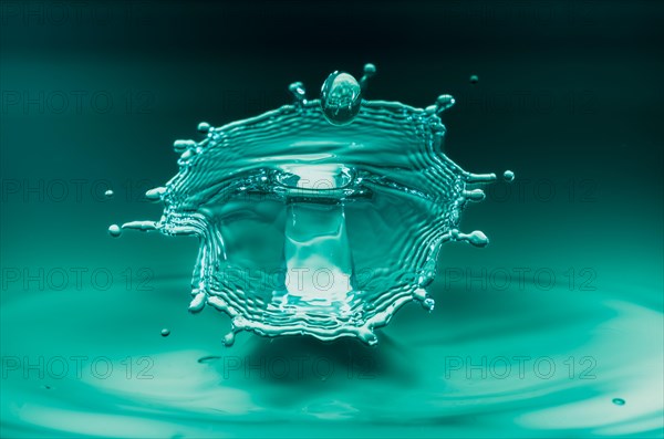 Macro Photography Water Drops