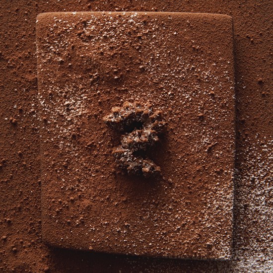 Spritzgebaeck dark with chocolate on cocoa powder