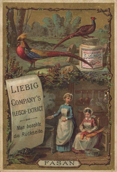 Picture series Cook and Cooks