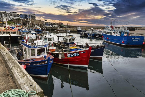 Fishing boats in the harbour