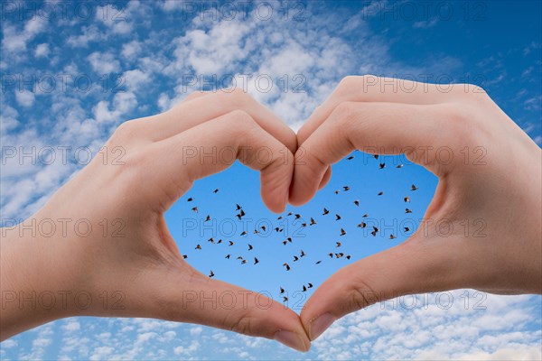 Flock of birds are seen behind a heart shaped hand