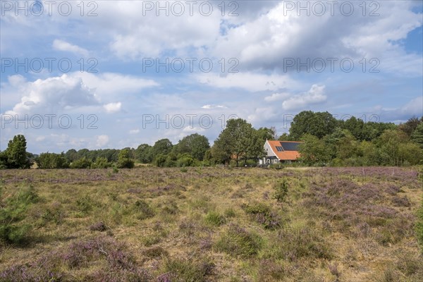 Buurserzand nature reserve