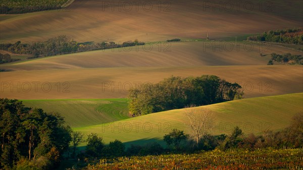 A wonderful morning in the Moravian fields in autumn. Beautiful colours. Czech republic