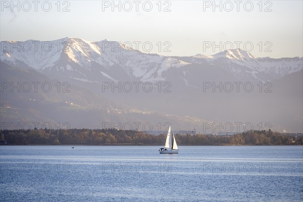 Sailboat on Lake Constance in the evening light