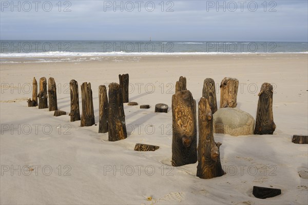 Groynes on the coast