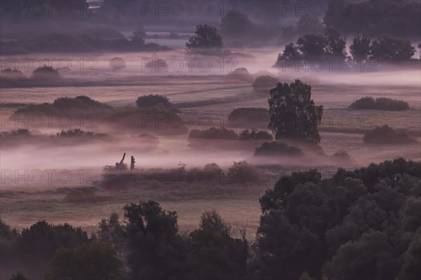 Morning atmosphere with autumn fog at Lake Constance