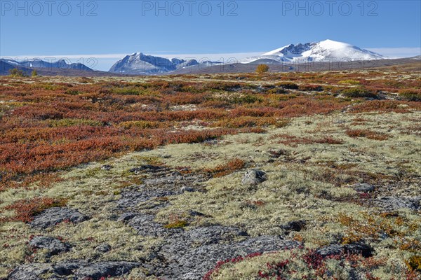 Dovrefjell National Park in autumn