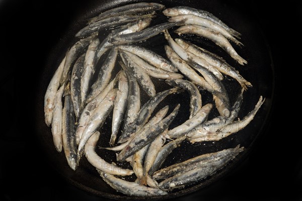 Anchovies fried in a pan