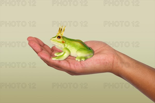 Frog Prince on the Hand