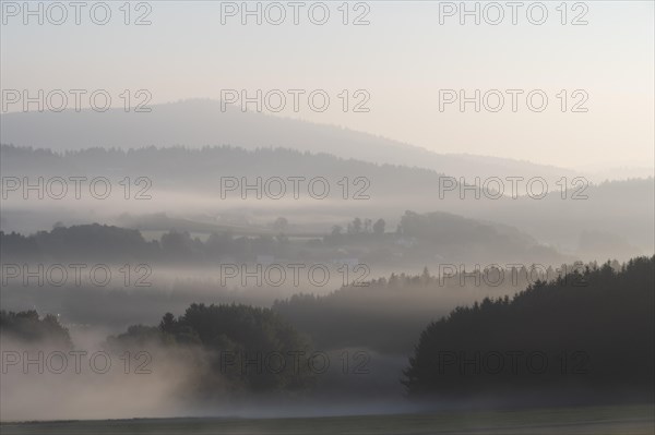 Forest and mountains with morning mist