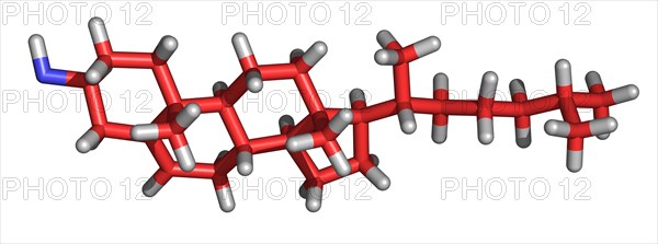 Cholesterol Molecule