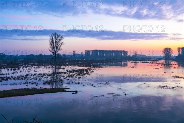 Flooding of the Lippe floodplains in the Hellinghauser Mersch nature reserve