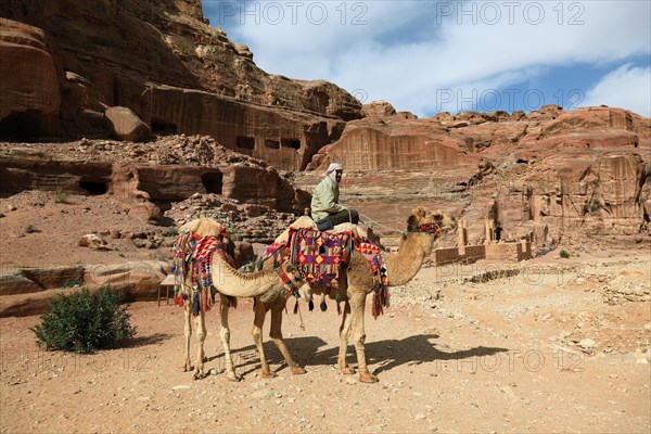 Bedouins with camels on horseback