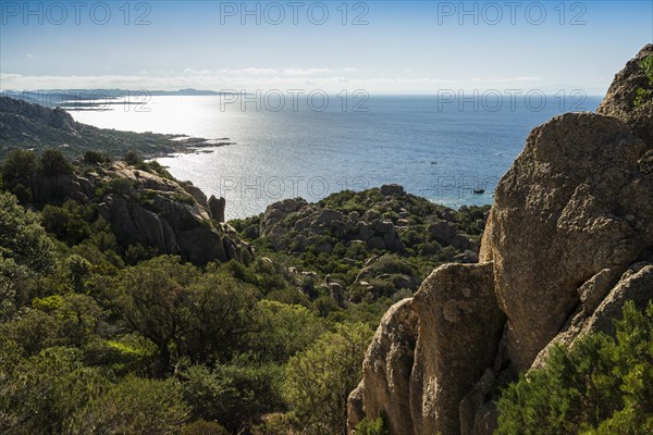 Coast and granite rocks