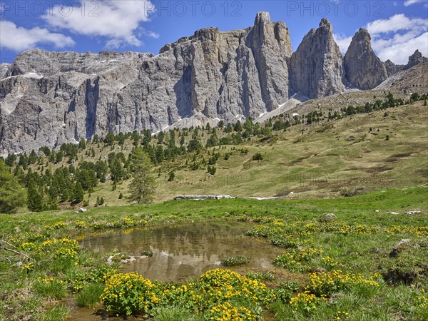 Torri del Sella