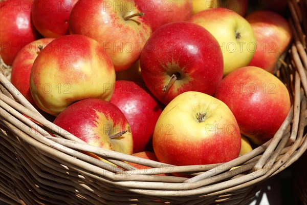 Apples in a basket on a stall in front of a shop