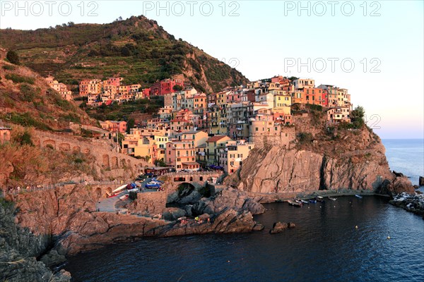 Manarola in the evening light