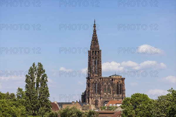 Strasbourg Cathedral