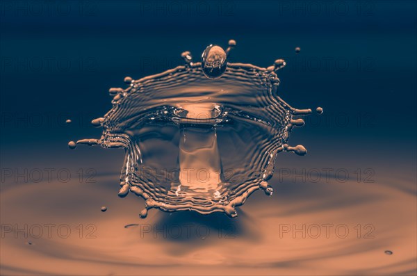 Macro Photography Water Drops