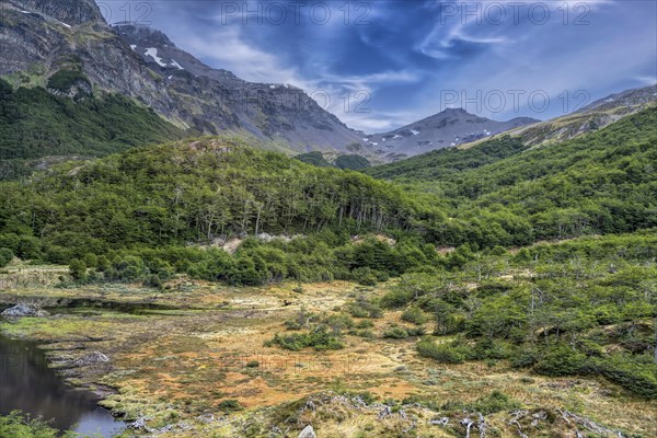 Moor and Forest and Mountain Landscape Ushuaia Argentina