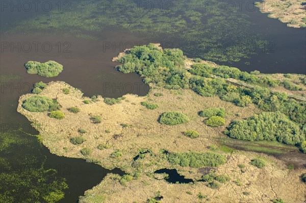 Aerial photograph of Lake Duemmer with reed zone